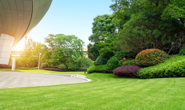 Commercial Shrub Trimming in Kenner