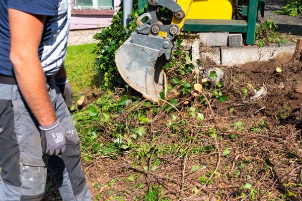 Hedge Removal Service in Kenner
