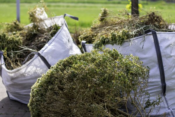 Cost of Shrubs Removal in Kenner