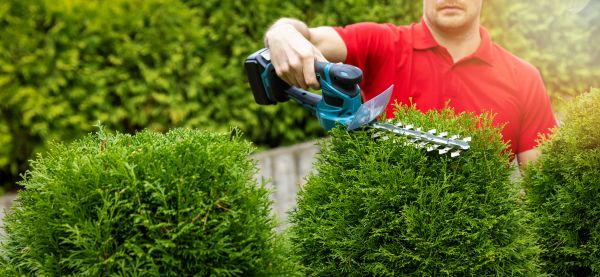Hedge Shaping Service in Kenner