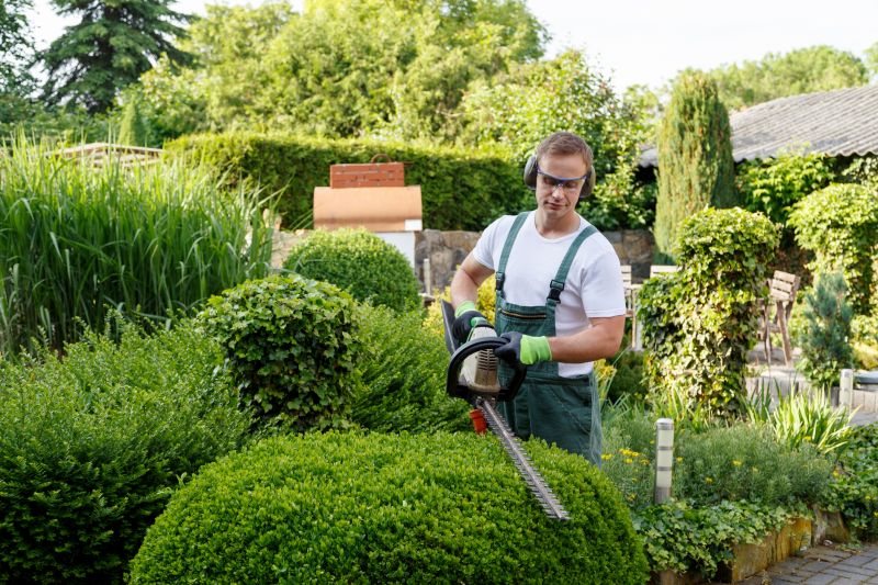 Landscaper Working on Shrubs