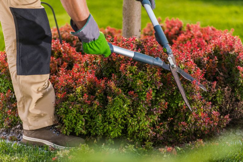 Shrub Shape Maintenance